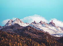 星空体育官方入口-总决赛蒂姆“三盘见7”胜德约 携生涯300胜晋级决赛