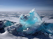 星空体育官方入口-狮子伊布对上猫 失点后让点 进球意难平