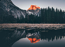 星空体育官方入口-狮子伊布对上猫 失点后让点 进球意难平